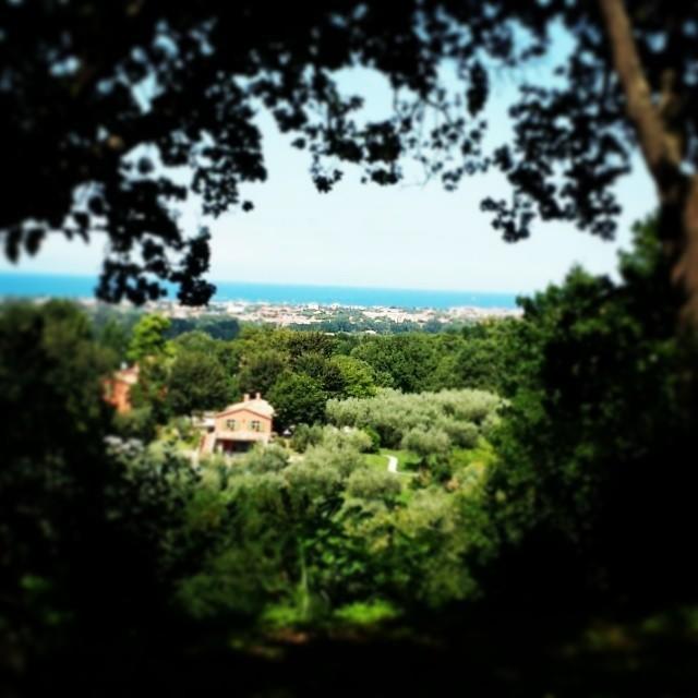 Agriturismo La Barca Nel Bosco Rosciano  Esterno foto